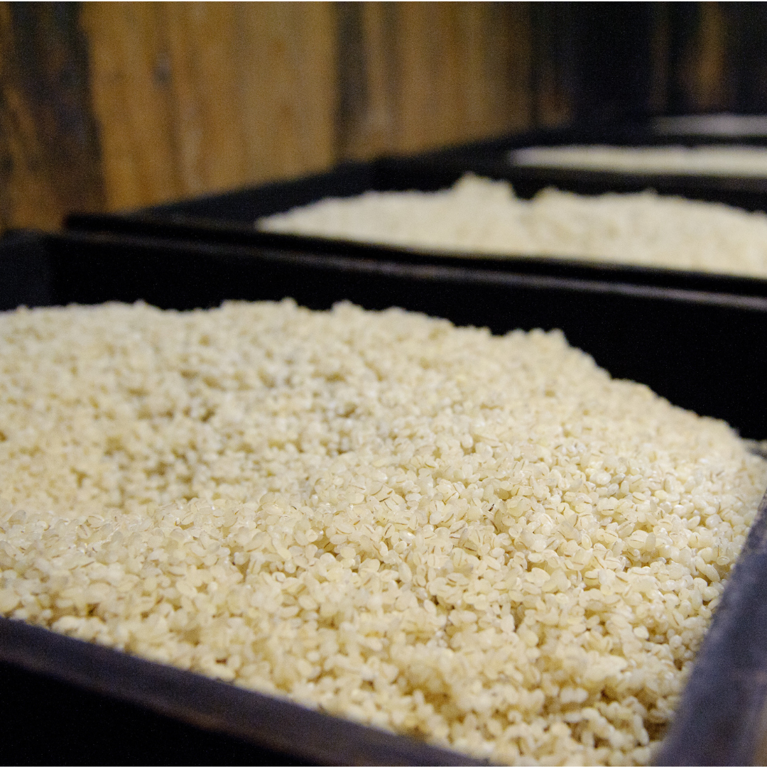 麦と塩だけでつくる、人生で一度は必ず食べたい麦味噌