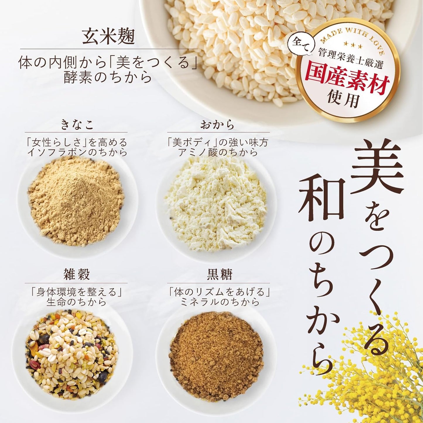 初めての方向け!玄米麹スムージーはじめてセット