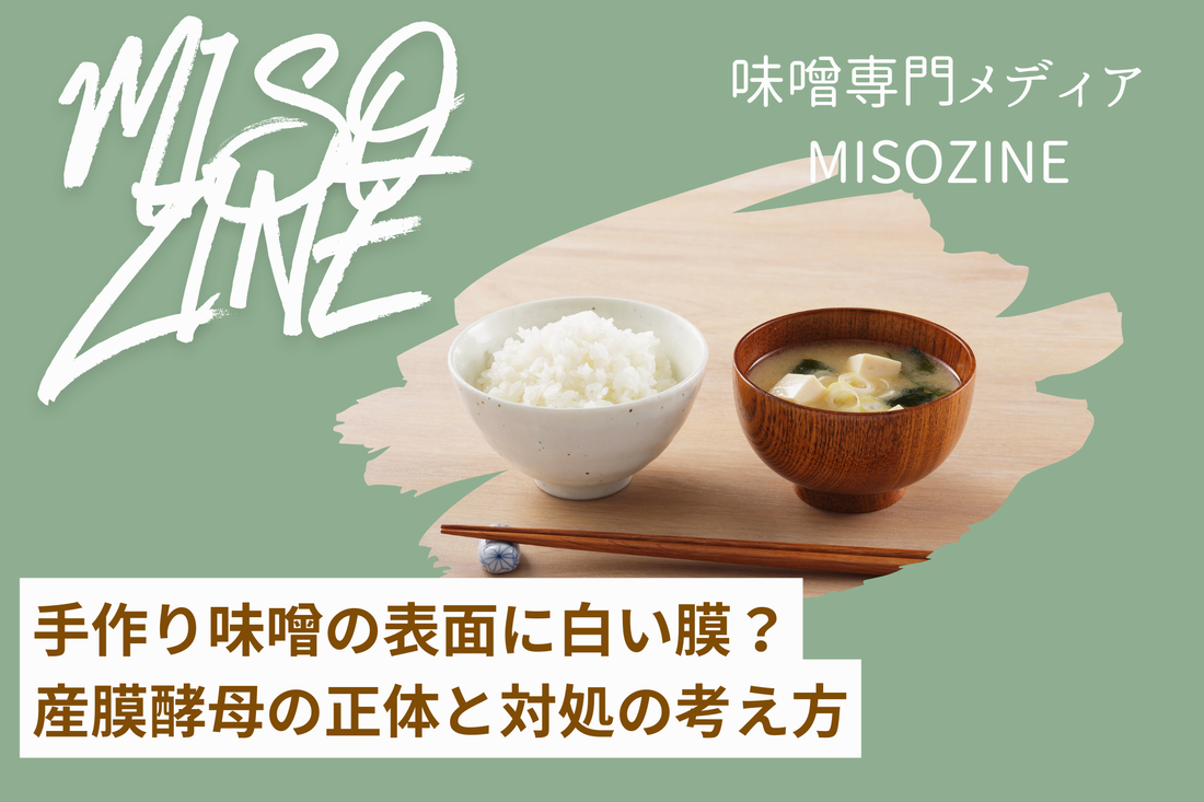 手作り味噌の表面に白い膜？産膜酵母の正体と対処の考え方